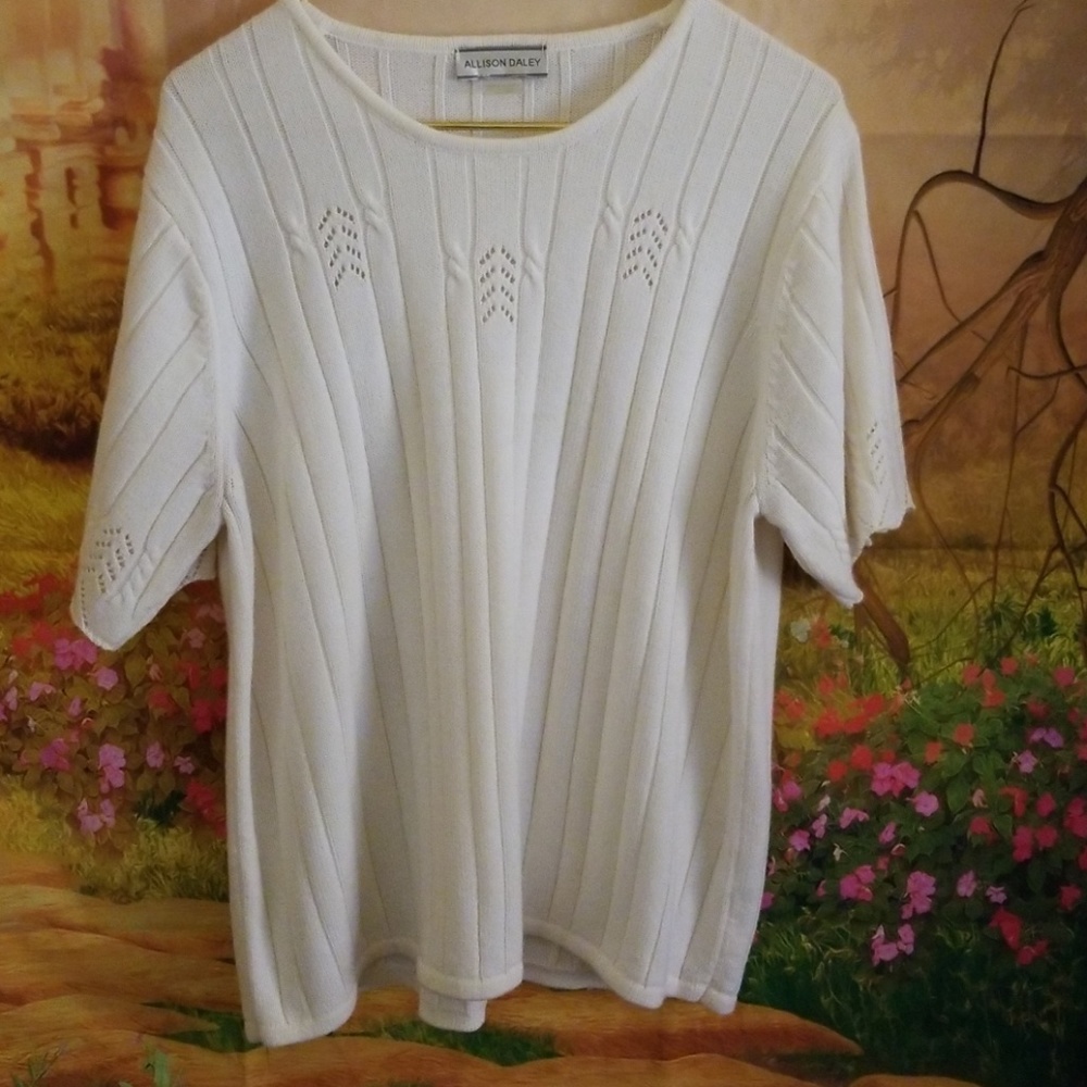 Allison Daley Crew Neck Sweater